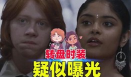 二月哈利波特转盘爆料视频,二月惊喜大揭秘！